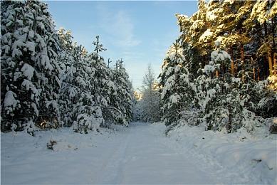 腾讯自研《腾讯扣叮-编程第一课》上架国行Switch 售价4元